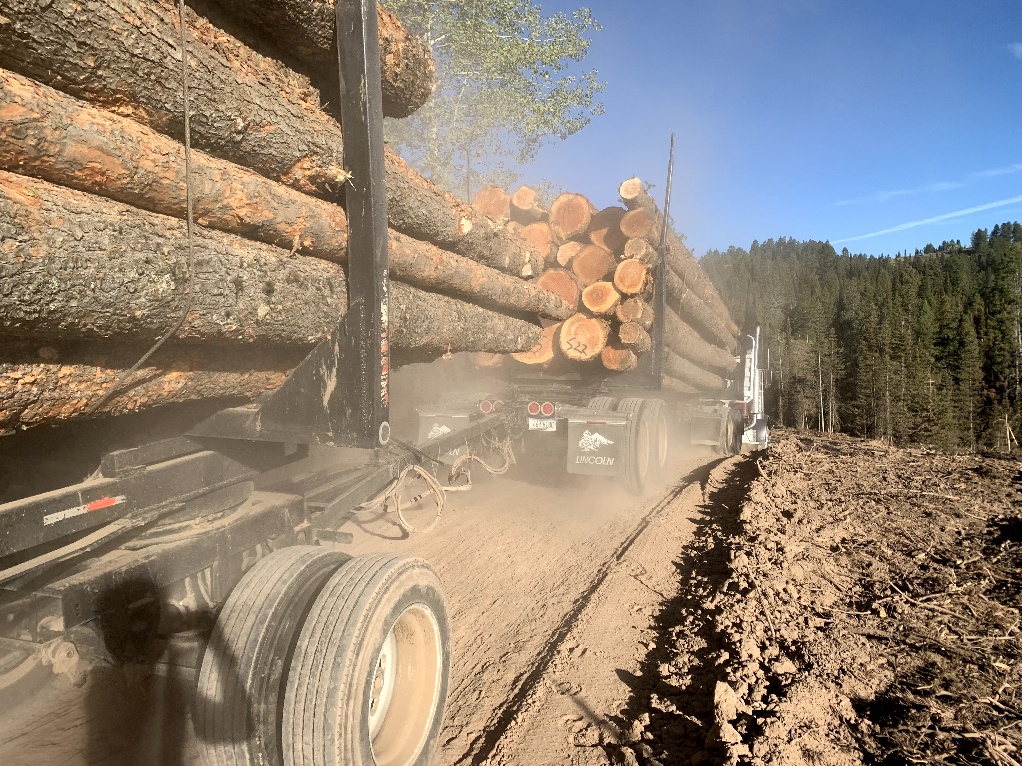 Second half of logging truck