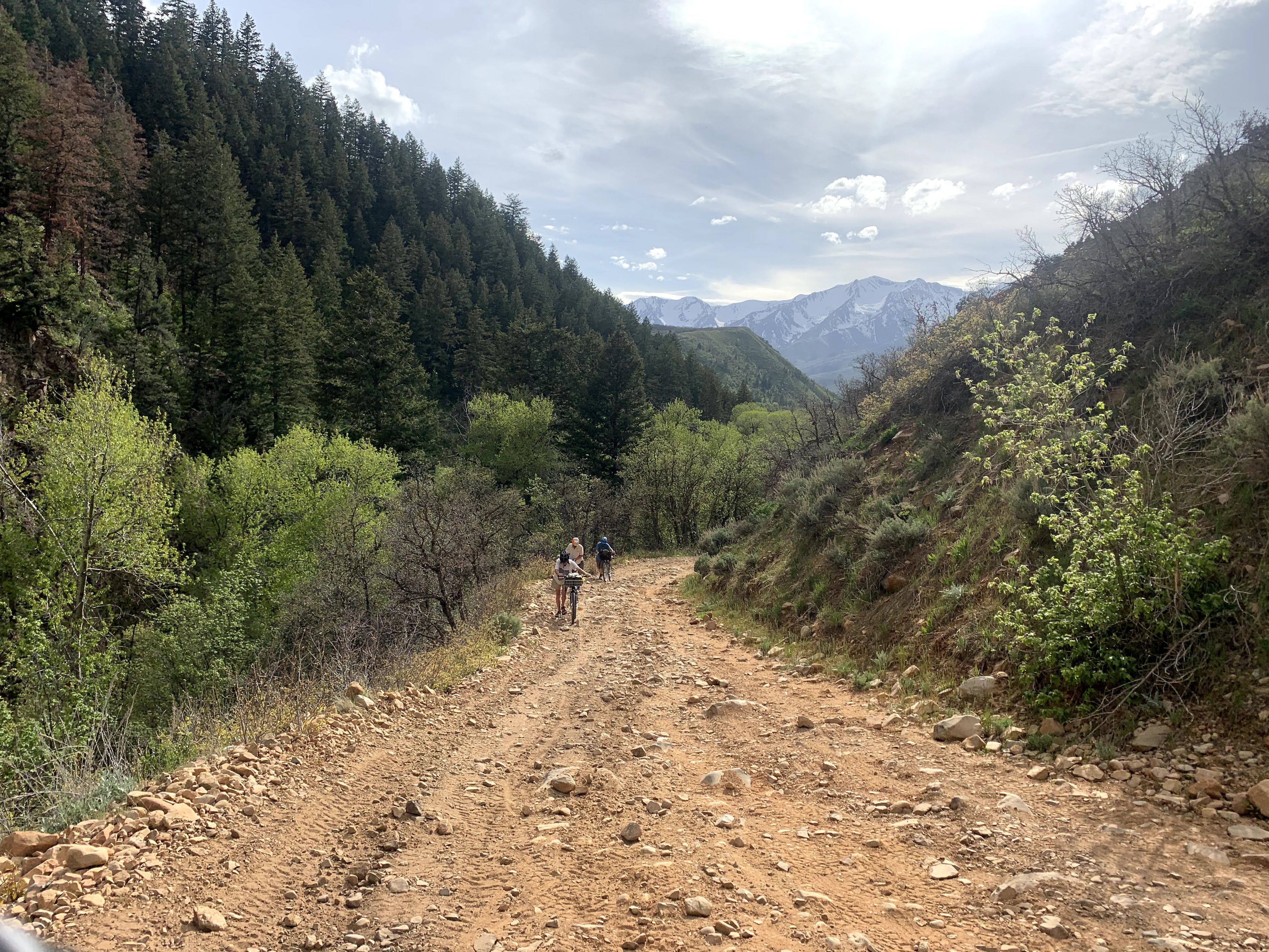 More Trail